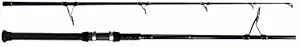 Saltwater f Spinning  Rod
