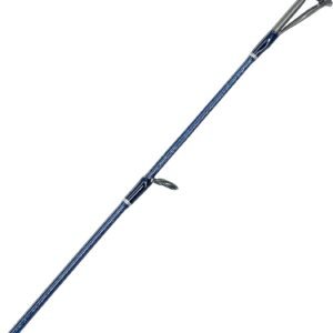 Inshore Spinning Rods