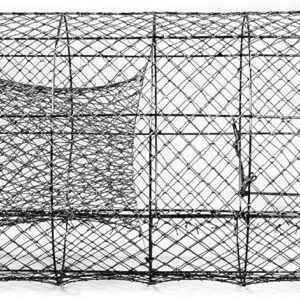 Catfish Wire Trap, Hoop Net. Not Collapsible. 19 x 48 inch Trap, 1 inch Square Netting.